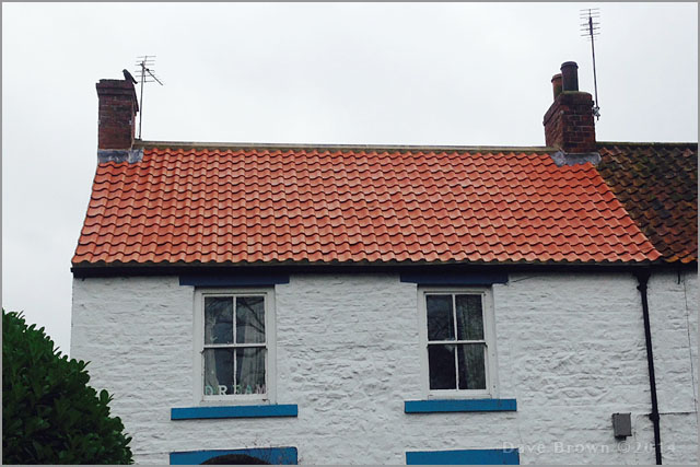Traditional clay pantile roof on a County Durham cottage